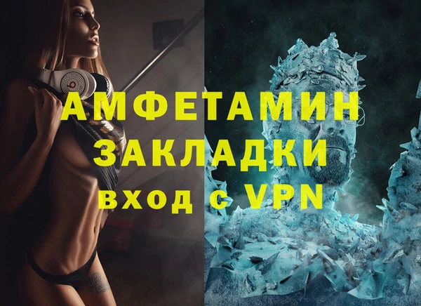 прущие грибы Наволоки
