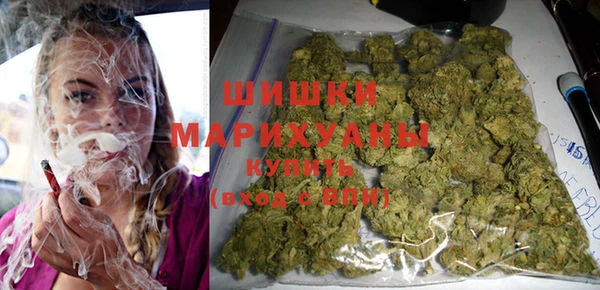 прущие грибы Наволоки