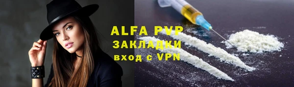 прущие грибы Наволоки