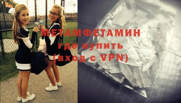 прущие грибы Наволоки