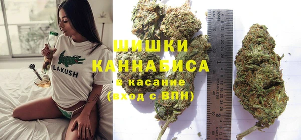 прущие грибы Наволоки