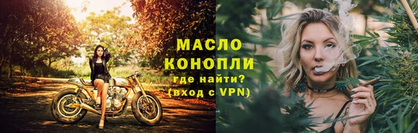 прущие грибы Наволоки