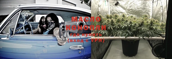 прущие грибы Наволоки