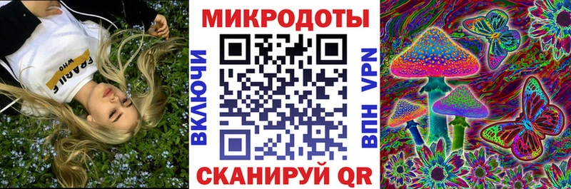 Галлюциногенные грибы Psilocybe  Купить закладки  Юрюзань 